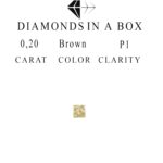 0,20 Karat  Fancy Brown P1 Princess